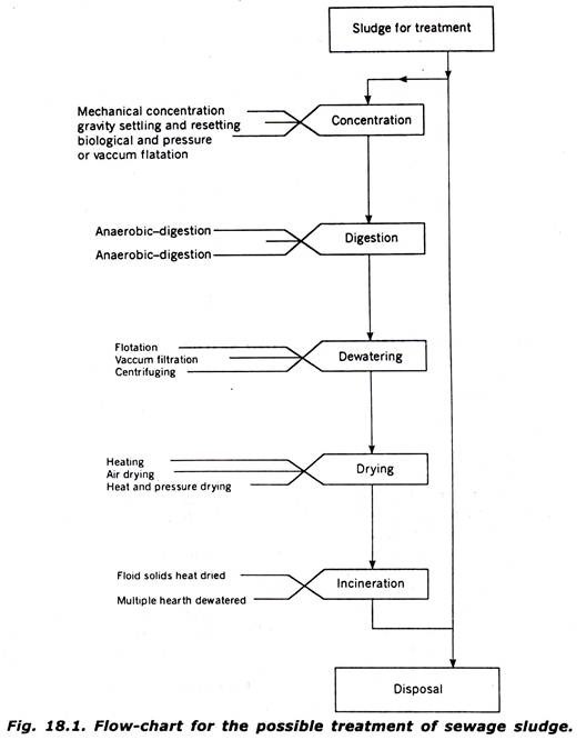 Flow-chart for the Possible Treatment of Sewage Sludge